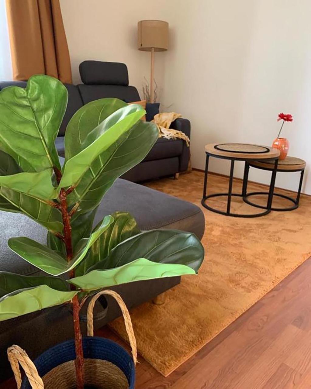 Sovirag Apartman إيغيرسولوك المظهر الخارجي الصورة